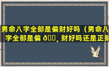 男命八字全部是偏财好吗（男命八字全部是偏 🕸 财好吗还是正财）